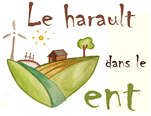 le harault dans le vent